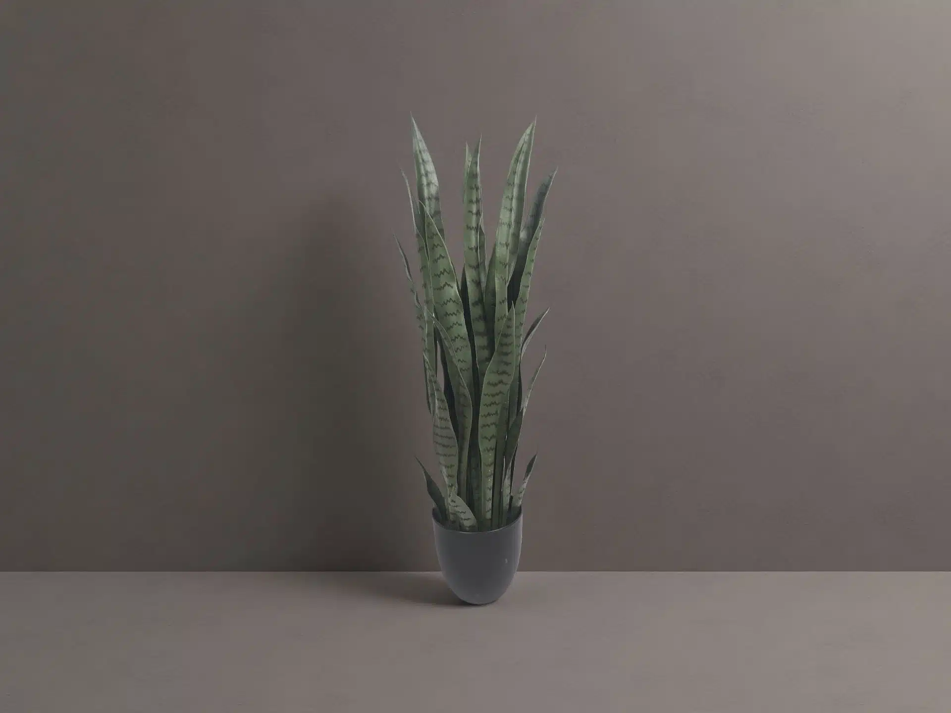 Artificial Snake Plant Stems - Image 2