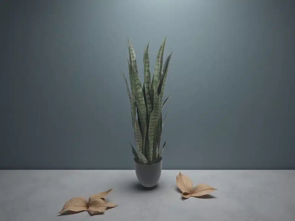 Artificial Snake Plant Stems