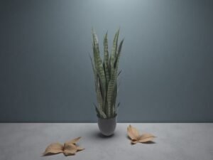Artificial Snake Plant Stems