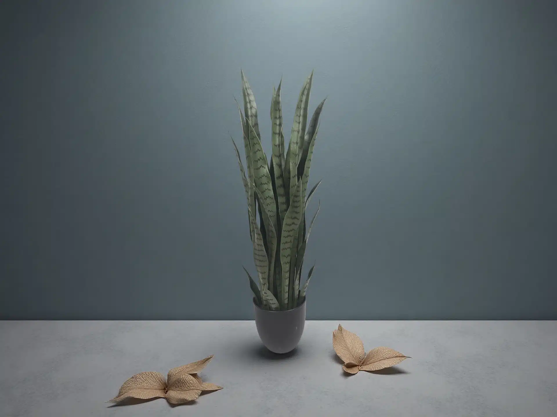 Artificial Snake Plant Stems