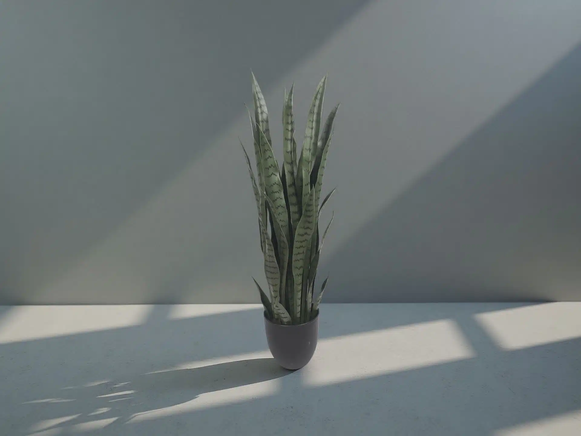 Artificial Snake Plant Stems - Image 4