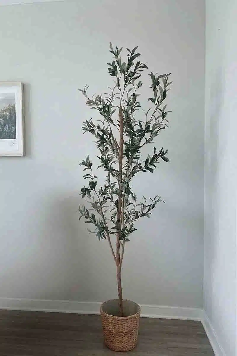 Slender Faux Olive Tree for Small Luxury Apartments