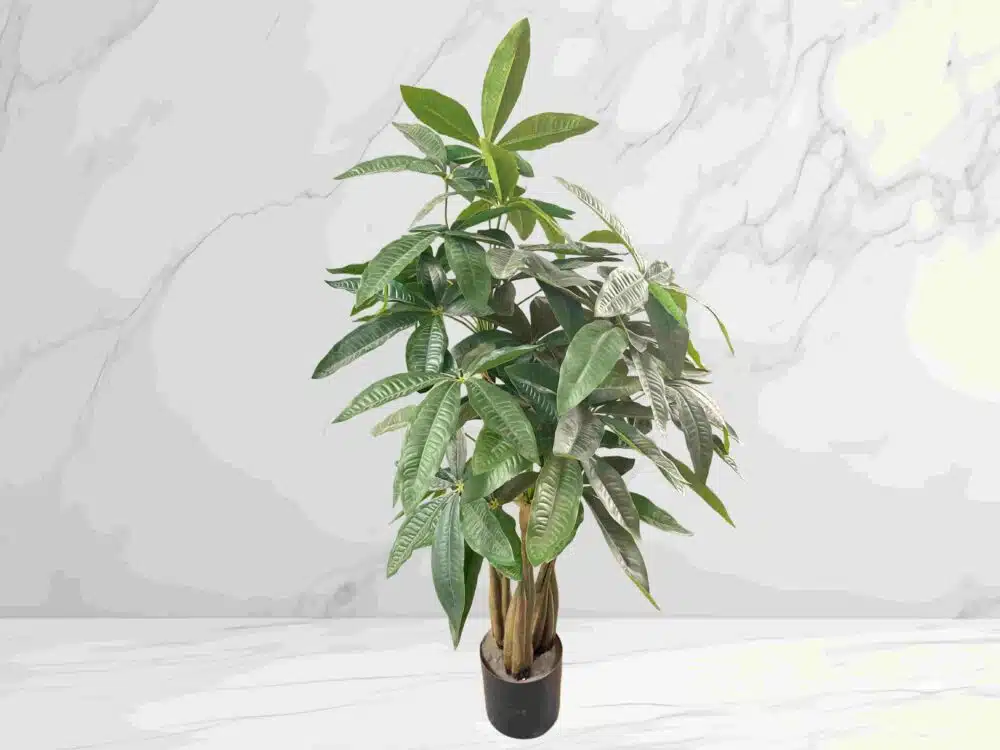 Money Tree Decor