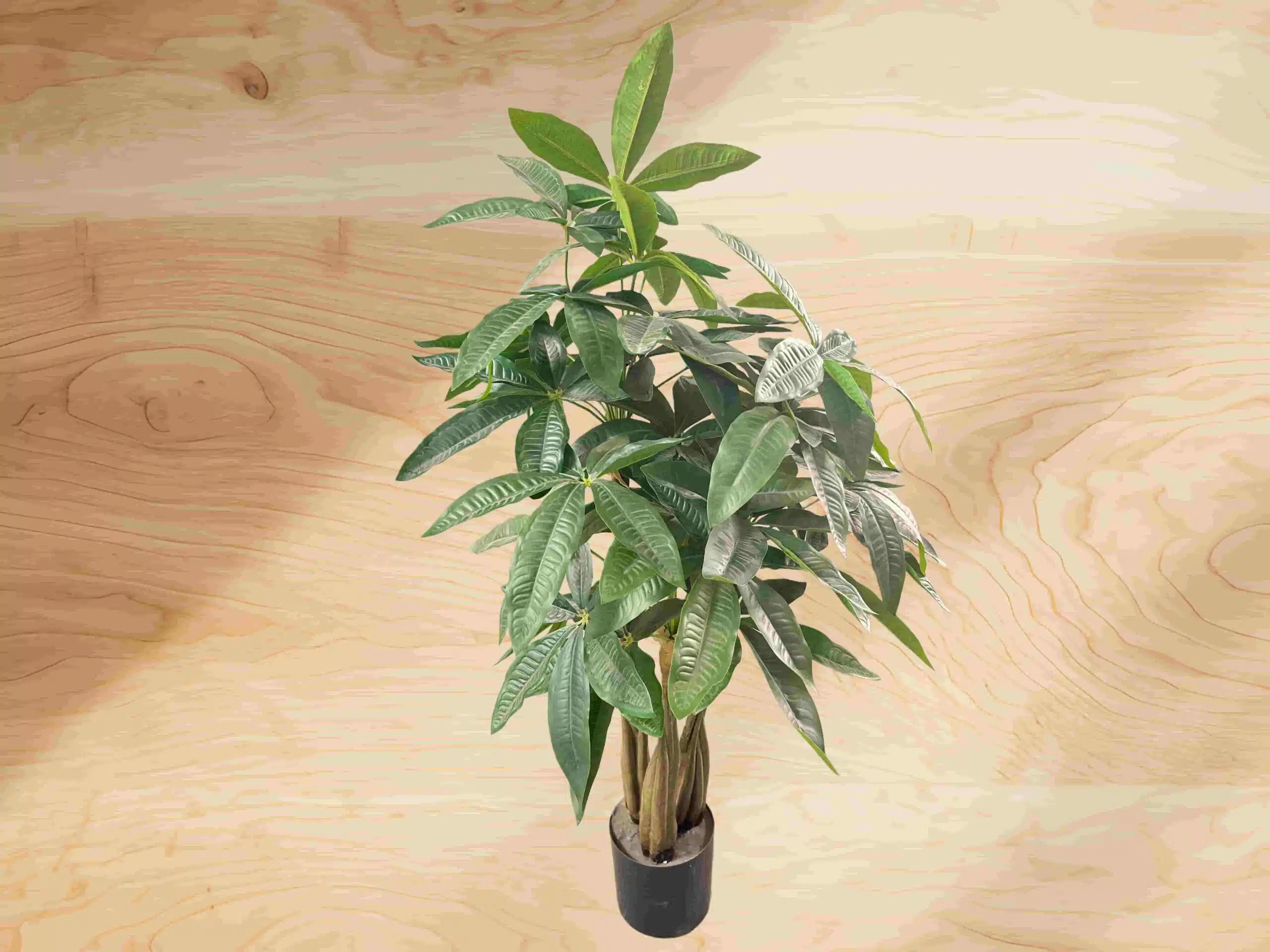 Tall Artificial Money Tree - Image 4