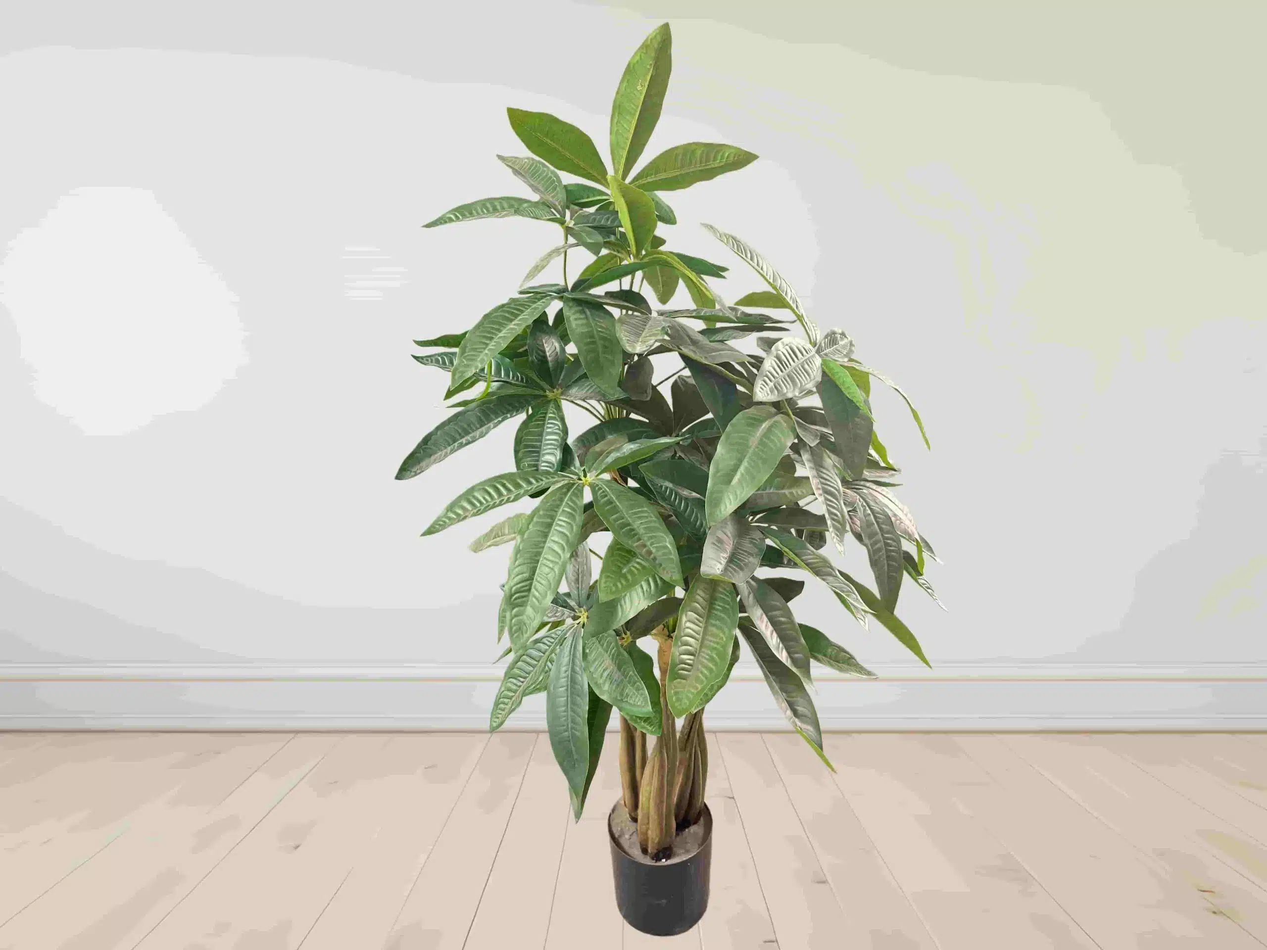 Tall Artificial Money Tree - Image 5