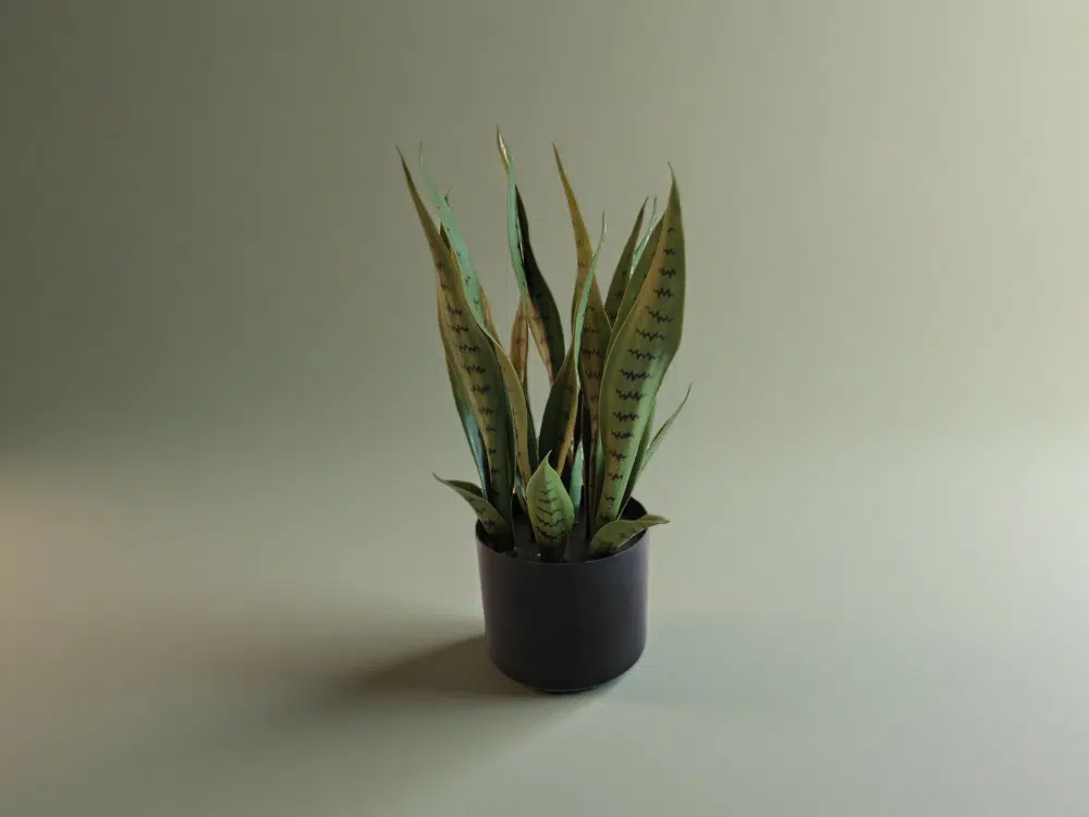 Artificial Snake Plant In White Pot