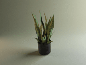 Artificial Snake Plant In White Pot