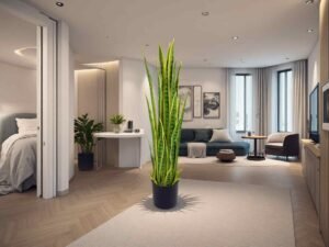 Snake Plant Artificial Light