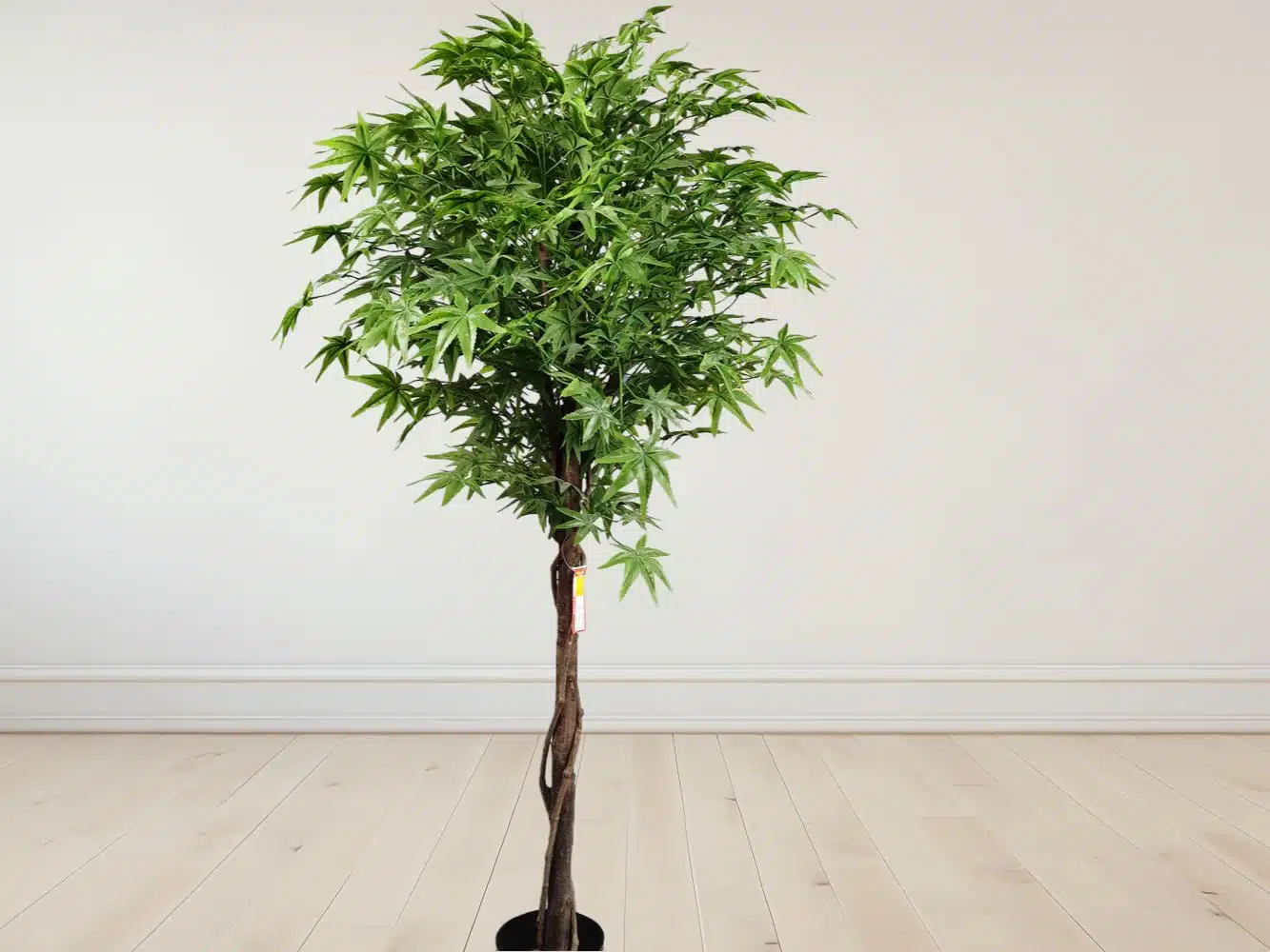 Silk Japanese Maple Tree - Image 2