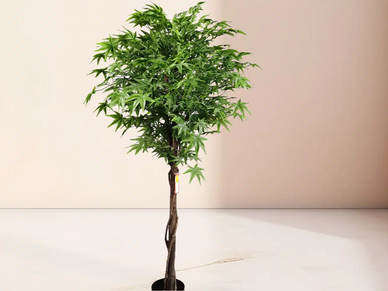 Silk Japanese Maple Tree - Image 3