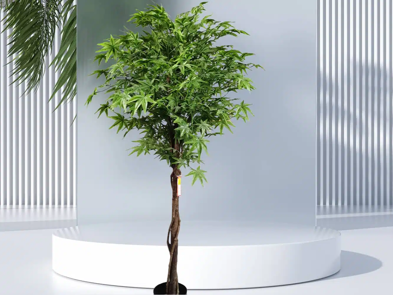 Silk Japanese Maple Tree - Image 4