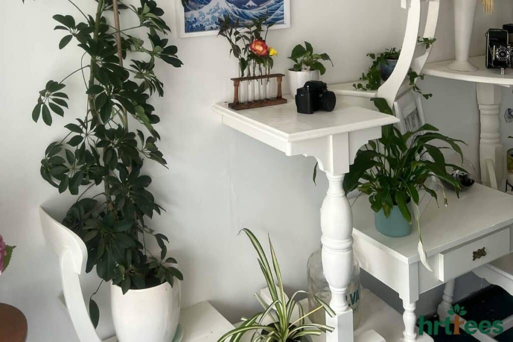 Decorating room With Artificial Trees Properly