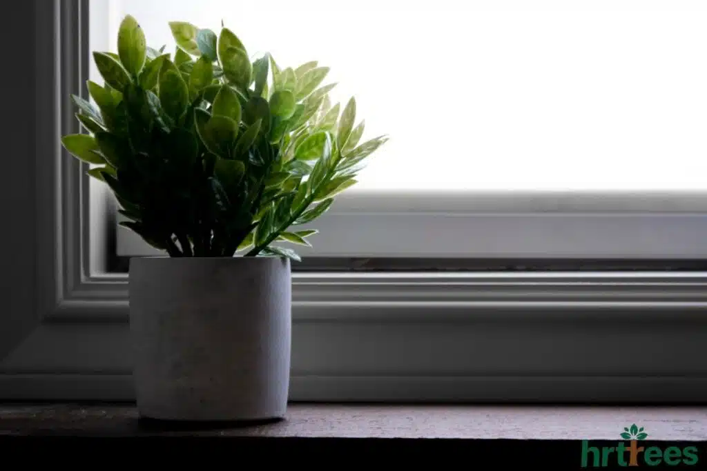 Fake plant by window for home decor