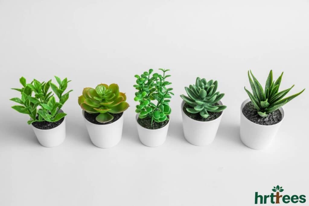 Fake plants with made with Premium Materials