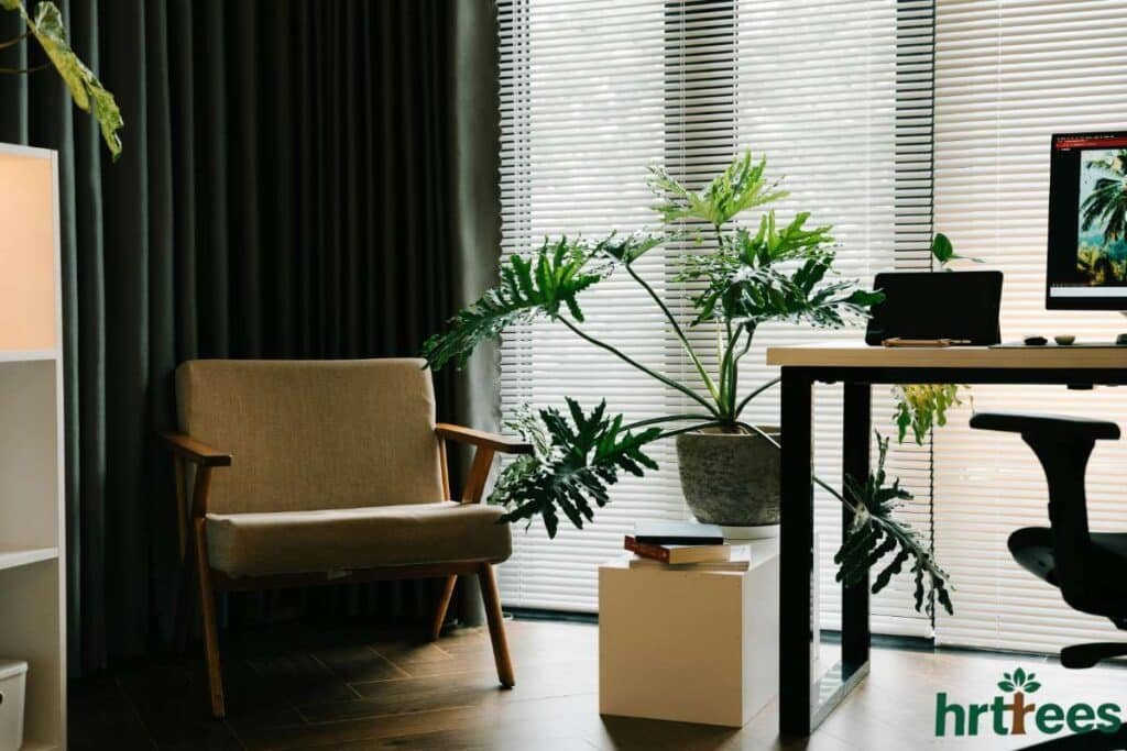 Faux plant placement in home