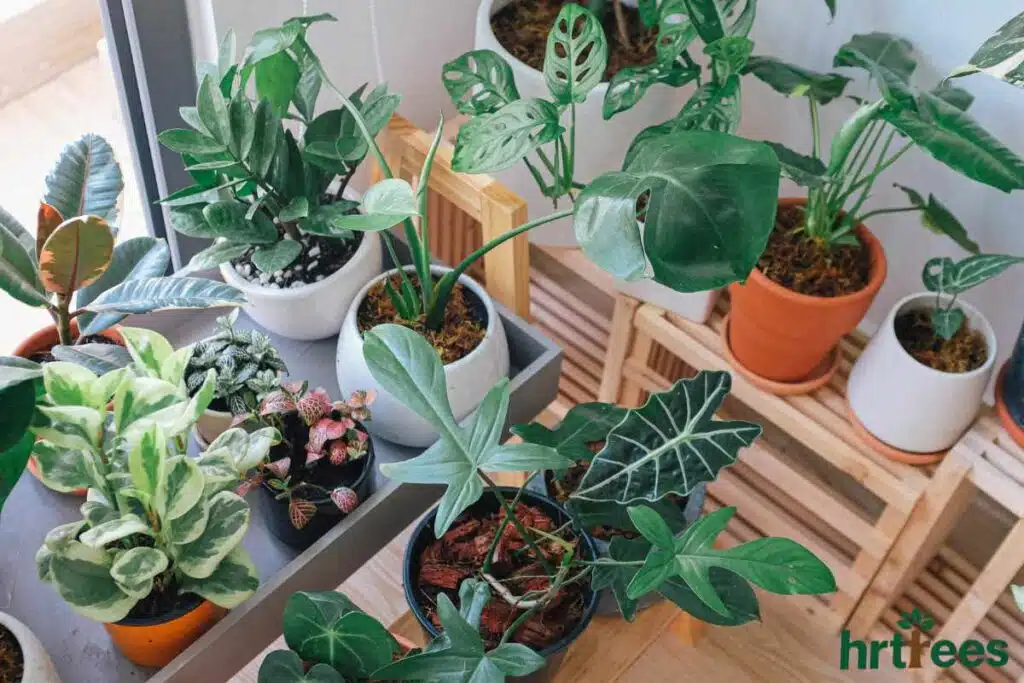 faux plants meaning indoor