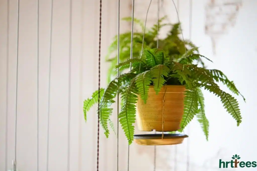 High-Quality Artificial Hanging Plants