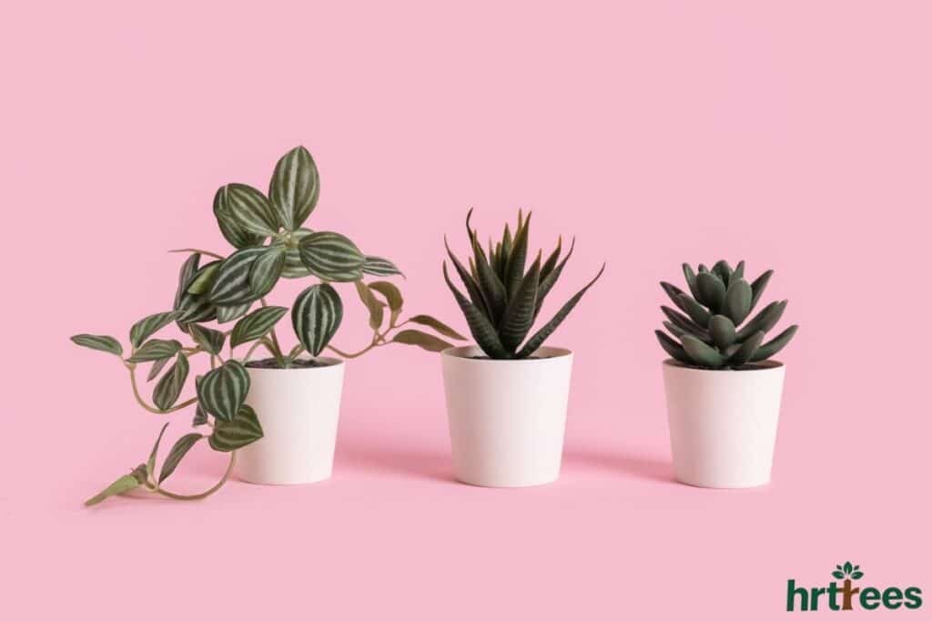 The 10 Best Artificial Plants Manufacturers for 2026