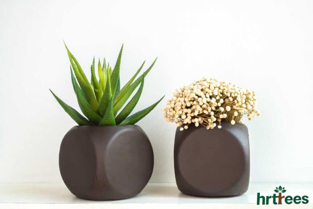 Modern Fake Plants mistakes to avoid