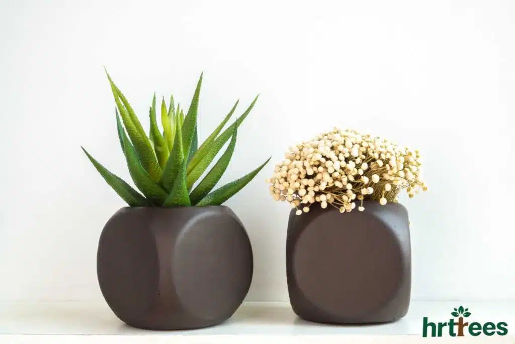Modern Fake Plants mistakes to avoid