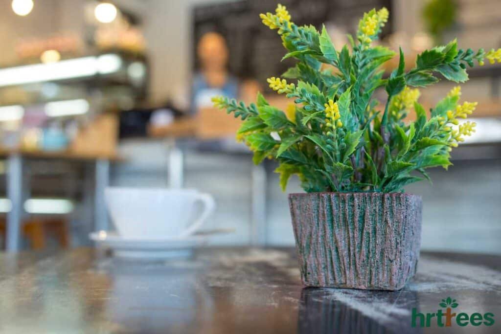 Realistic fake plant in tabletop
