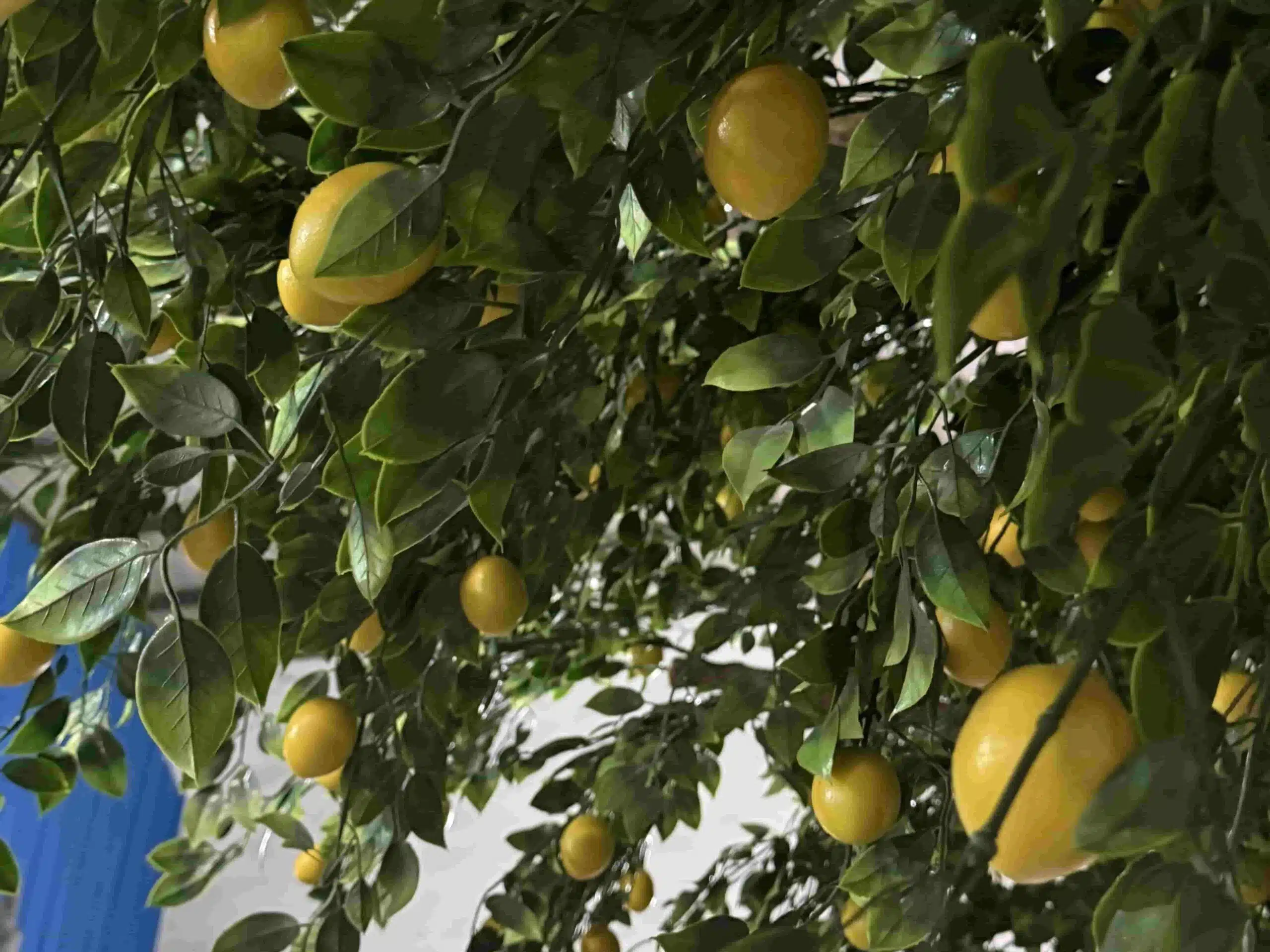 Artificial Lemon Tree Outdoor - Image 2