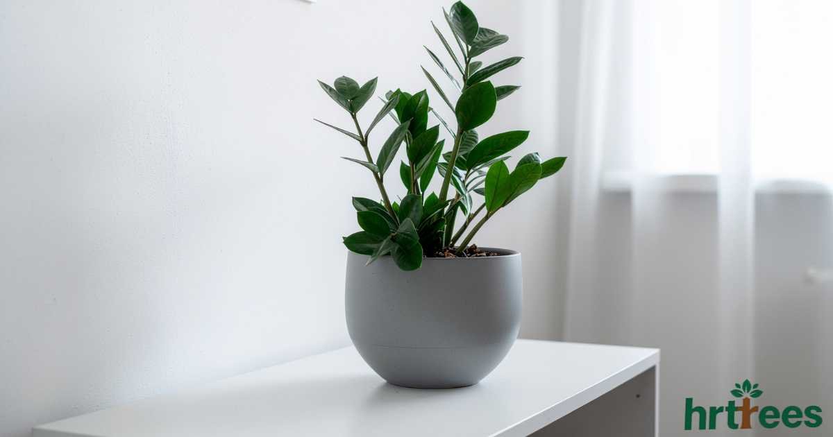 are fake plants tacky featured image