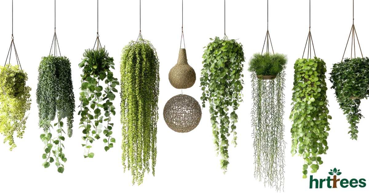 artificial hanging plants manufacturer featured image