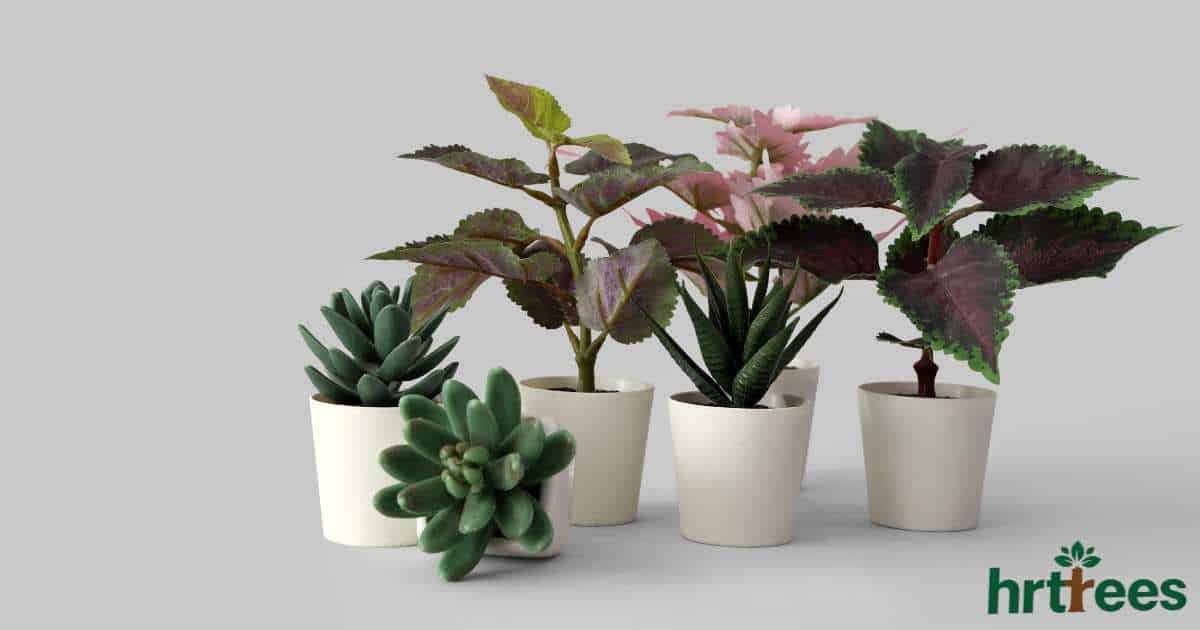 artificial potted plants manufacturer featured image