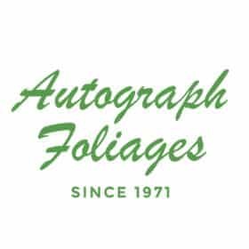 Autograph Foliages