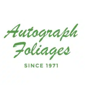Autograph Foliages