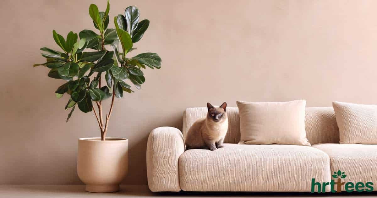 best artificial fiddle leaf fig tree featured image