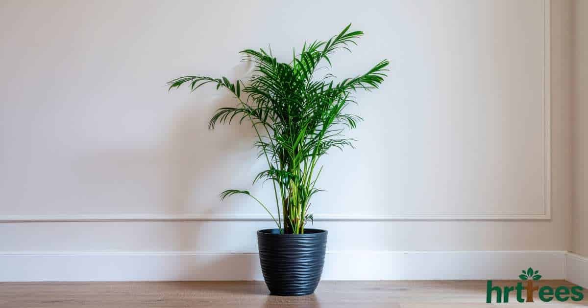 best artificial palm tree featured image