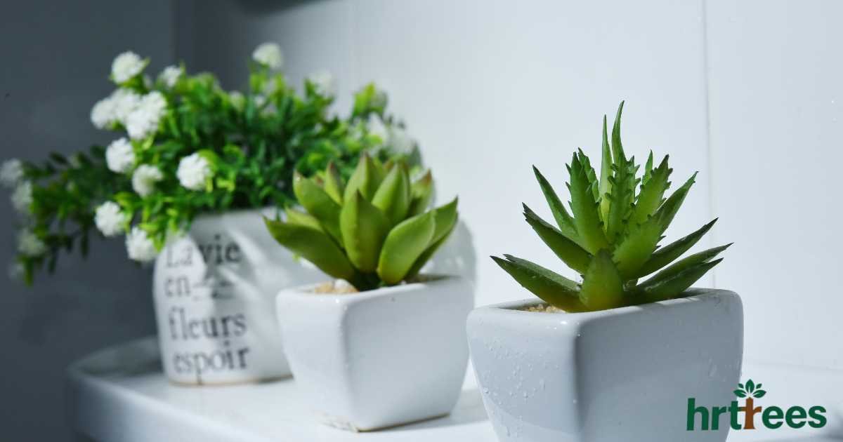 best fake plants featured image