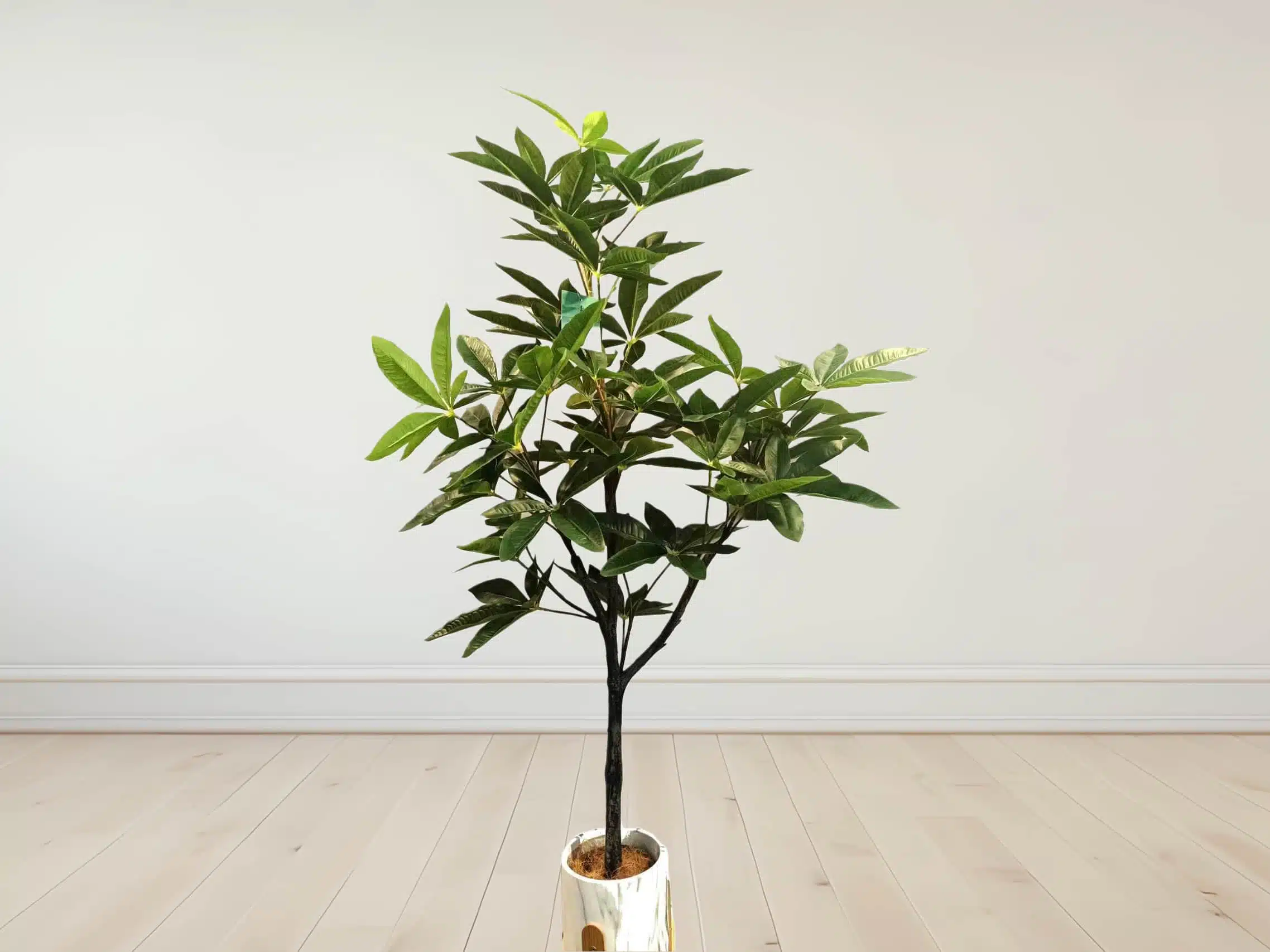 Custom Artificial Money Tree - Image 2