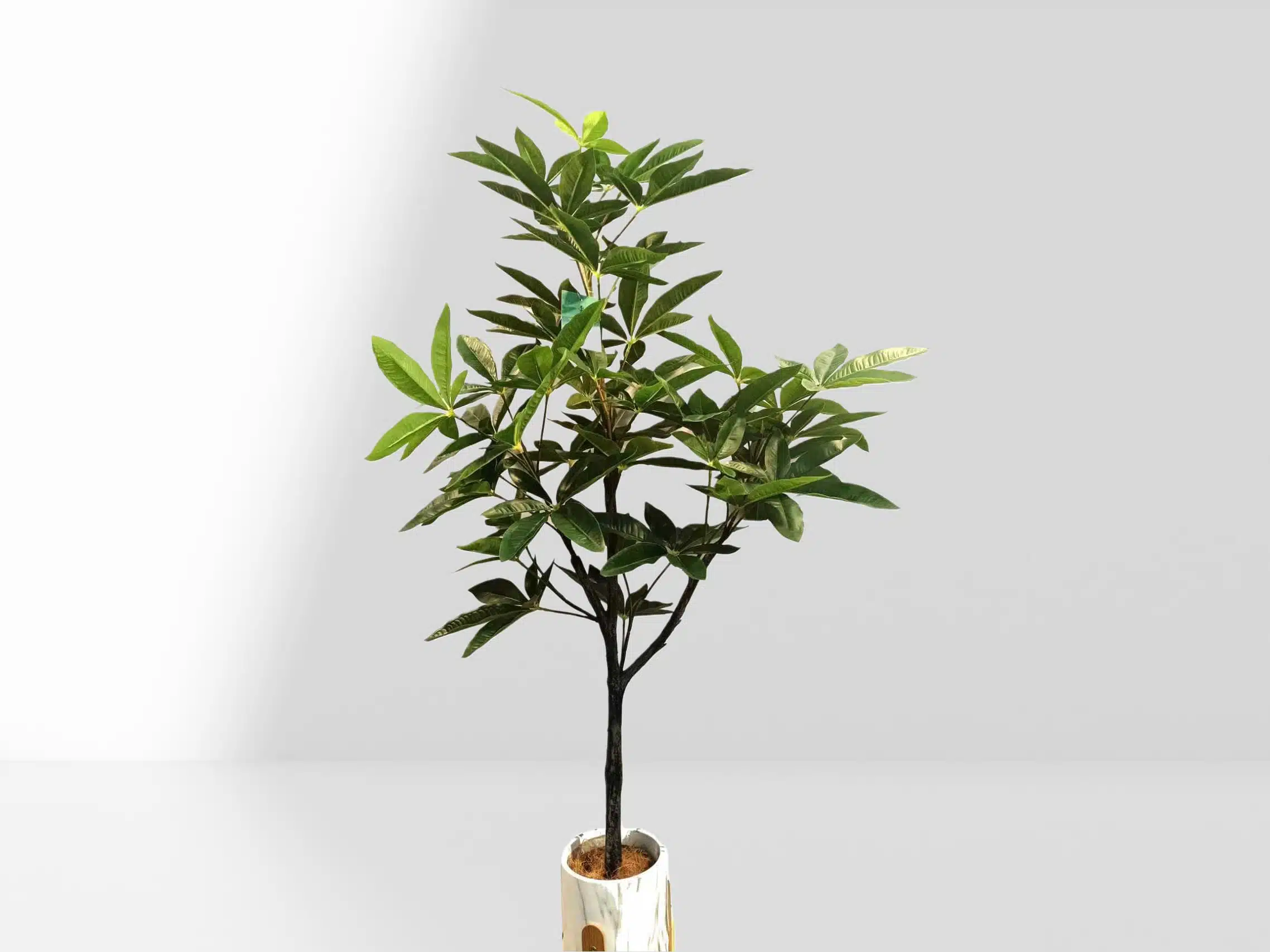 Custom Artificial Money Tree - Image 3