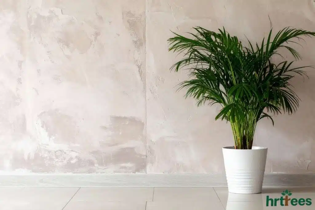 fake areca palm on marble background