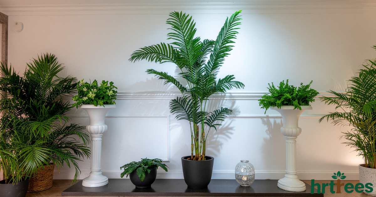 faux plants meaning featured image
