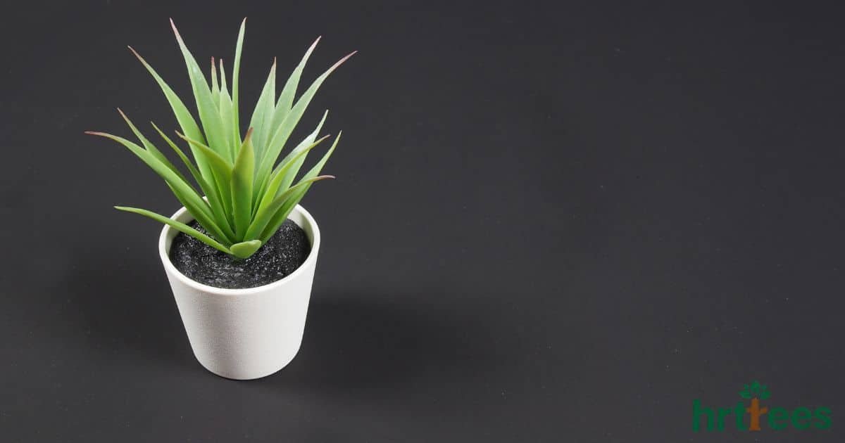 how to decorate with fake plants featured image