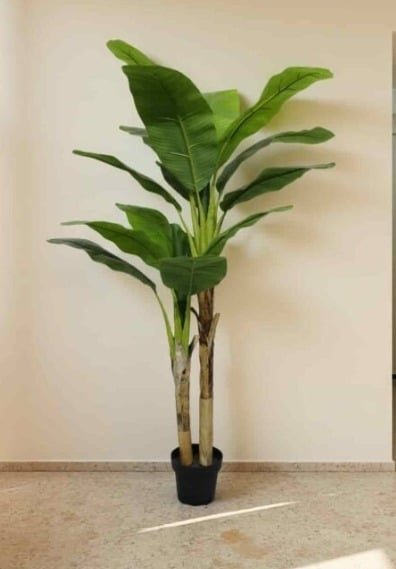 Fake Banana Tree