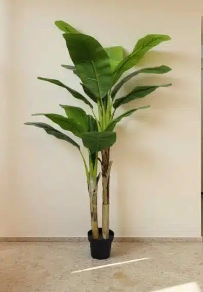 Fake Banana Tree
