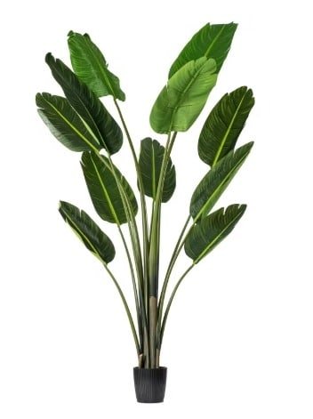 Artificial Travellers Palm (Ravenala)