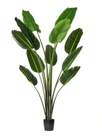 Artificial Travellers Palm (Ravenala)