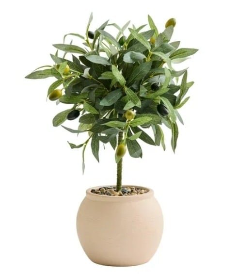 Potted Faux Olive Tree