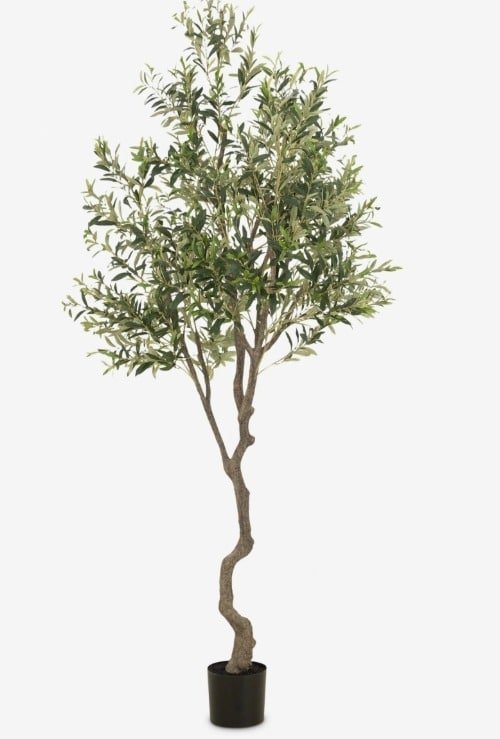 Heighted Minimalist Faux Olive Tree