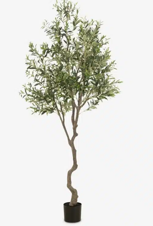 Heighted Minimalist Faux Olive Tree