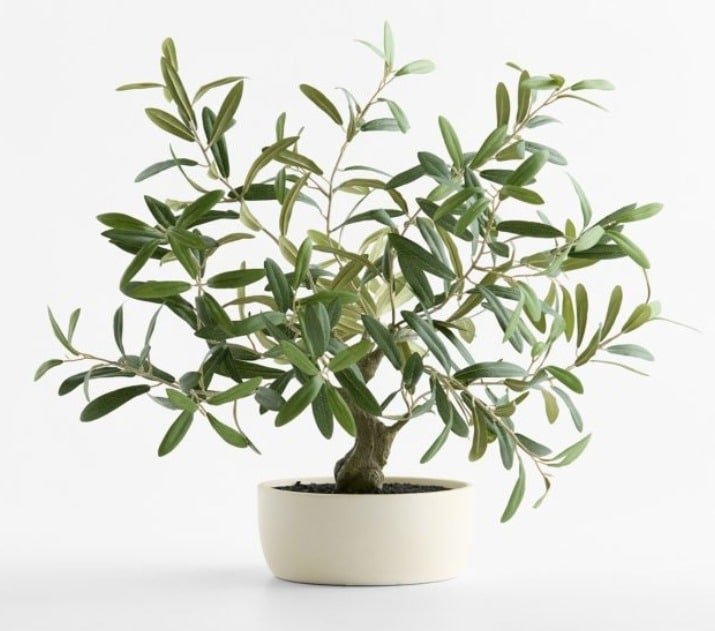 Small Bushy Faux Olive Tree
