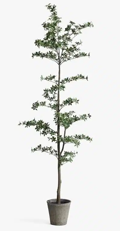 Slender Columnar Artificial Olive Tree