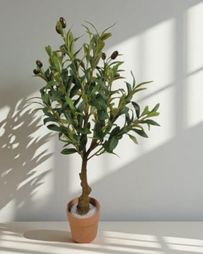Best Tabletop Artificial Olive Tree for Indoors