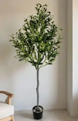 The "Slim" Artificial Olive Tree for Indoor Corners